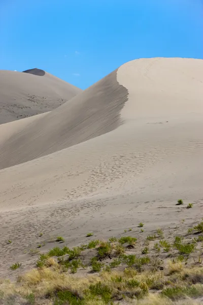 Cordillera de dunas de arena en un día brillante . — Foto de Stock