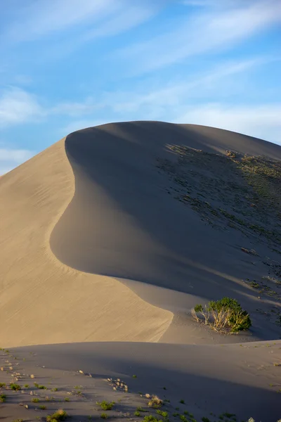 La cresta de una duna de arena . — Foto de Stock