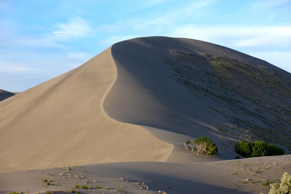 Longue crête dans une dune de sable . — Photo