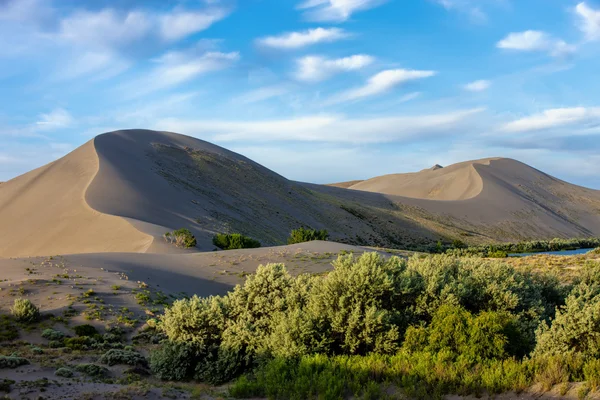 Parque Estadual das Dunas de Bruneau . — Fotografia de Stock