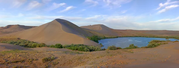 Panorama des majestueuses dunes Bruneau — Photo