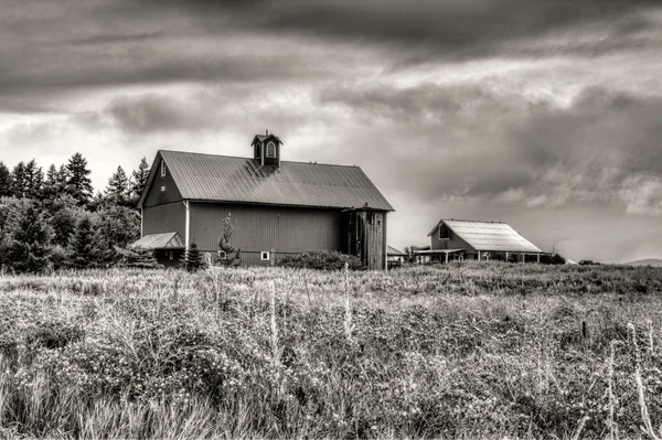 B & W de cenário rural . — Fotografia de Stock