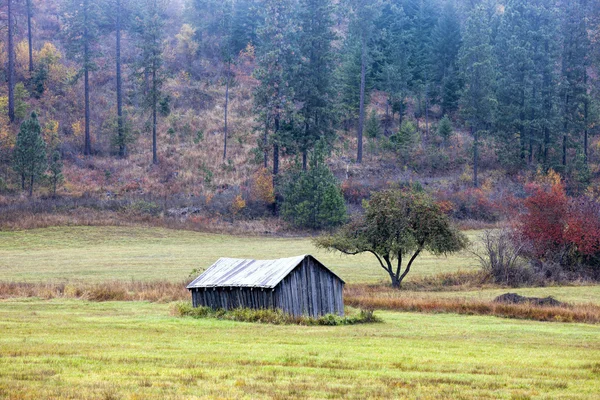 Lebendige ländliche Landschaft. — Stockfoto