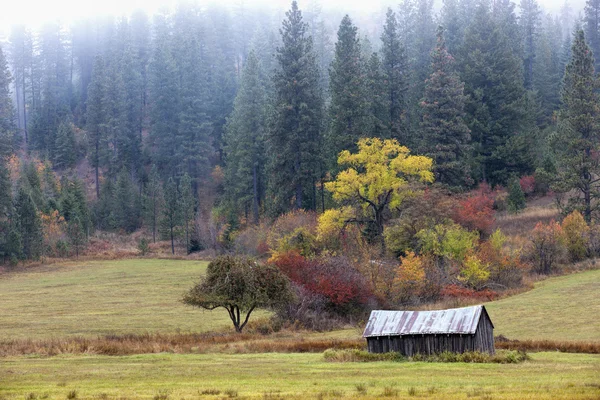 Old barn in field on overcast day. — Stock Photo, Image