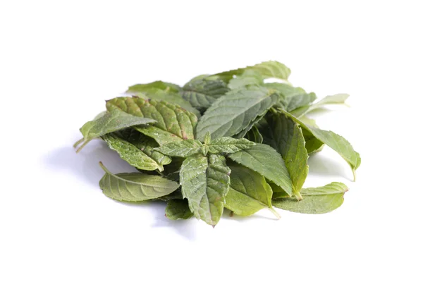 Peppermint leaves on white. — Stock Photo, Image