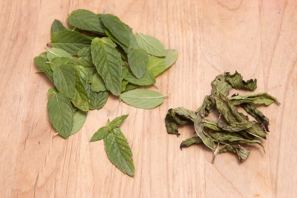 Fresh and dried peppermint leaves. — Stock Photo, Image