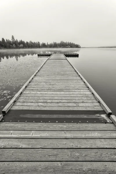 B&W image of a wooden dock. — Stock Photo, Image