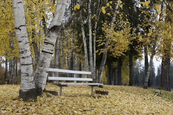 空坐在秋天公园长椅. — 图库照片