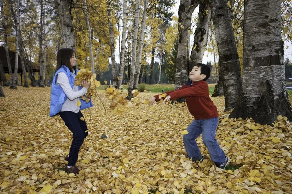 Throwing leaves. — Stock Photo, Image