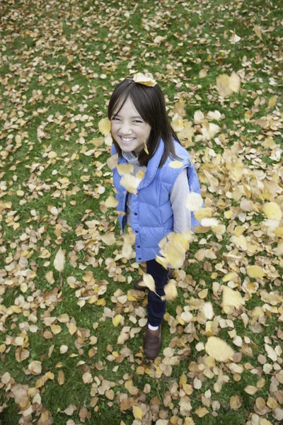 Covered in some leaves. — Stock Photo, Image