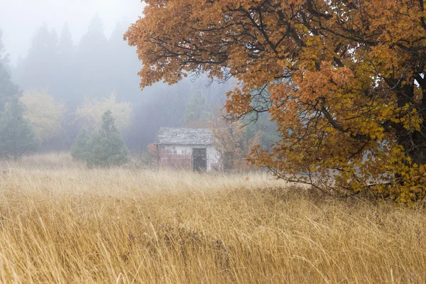 Ancien hangar dans le brouillard . — Photo