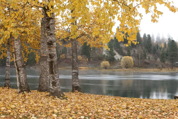 Herfst scene door rivier. — Stockfoto