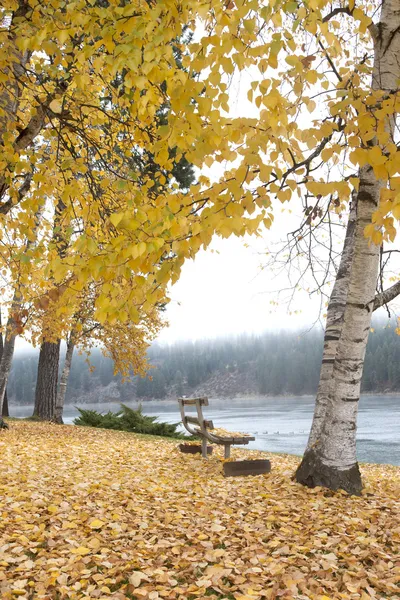 Leere Bank im Park. — Stockfoto