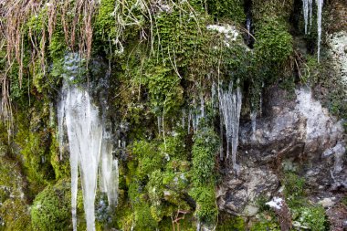 buz sarkıtları ve yosun.