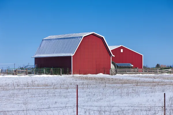 Grange rouge dans une prairie enneigée . — Photo