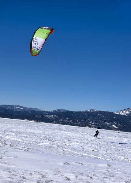 Coloré cerf-volant pensionnaire . — Photo