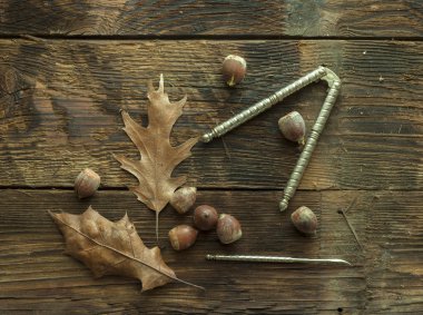 Palamutlar rustik ahşap üzerine.