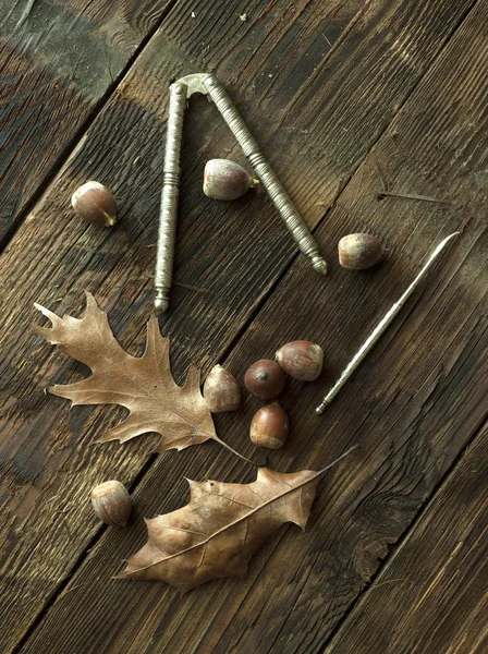 Still life of acorns. — Stock Photo, Image