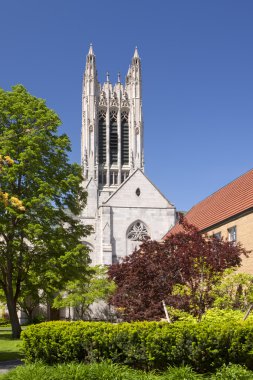 St johns Gotik Katedrali.