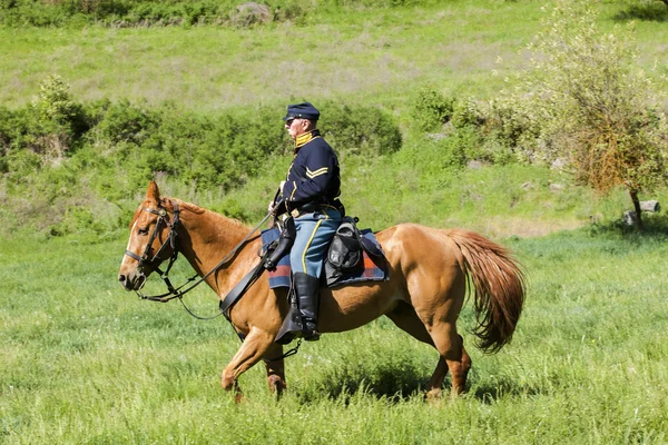 Sendika calvary reenactor. — Stok fotoğraf