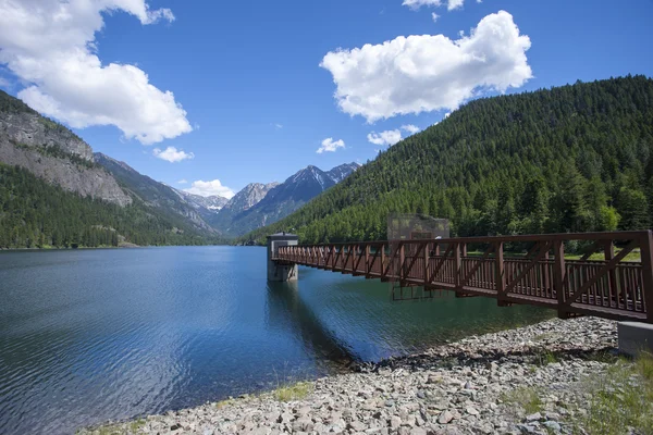 Feature at Lake MacDonald. — Stock Photo, Image