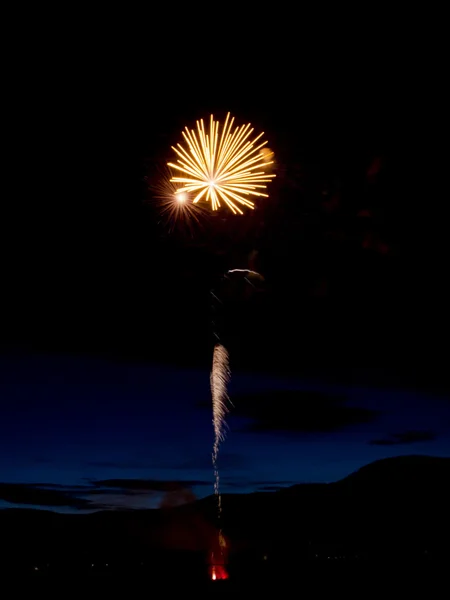 Fogos de artifício no céu. — Fotografia de Stock