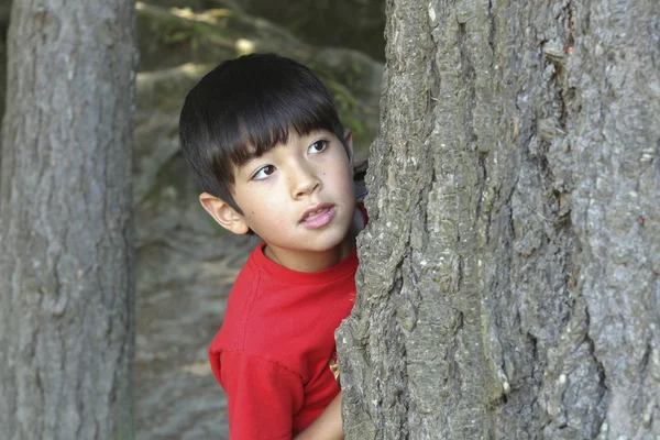 Boy peeks from behind tree. — Stock Photo, Image