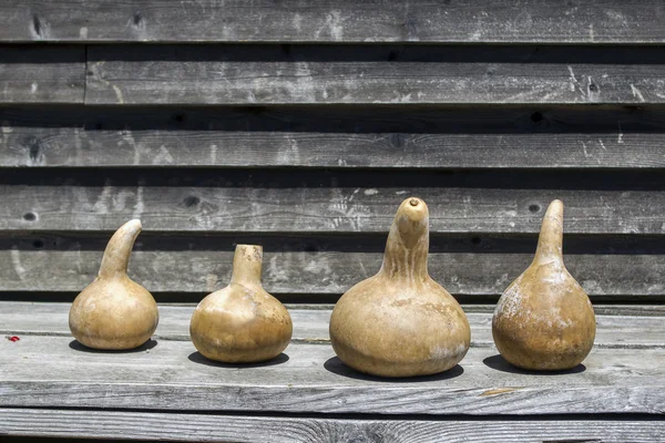 Gourds on a board. — Stock Photo, Image