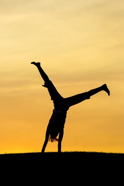 Portrait of a cartwheel. — Stock Photo, Image