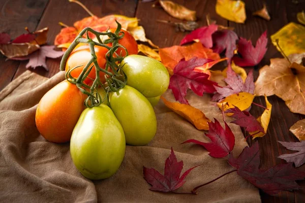 Studio Photo Ripening Roma Tomatoes Autumn Leaves — Stock Photo, Image