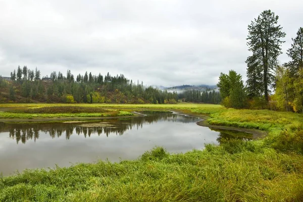 Kleiner Von Gras Umgebener Teich Bei Hauser Idaho — Stockfoto