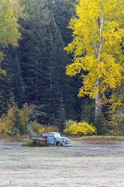 北爱达荷州秋天 一辆古老的古董车停在黄叶树木旁的田野里 — 图库照片