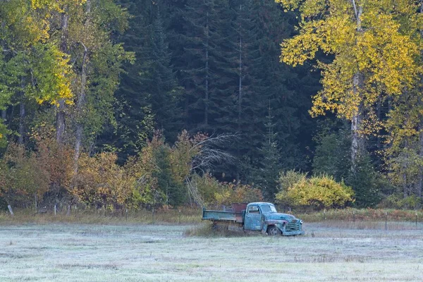 北爱达荷州秋天 一辆古老的古董车停在黄叶树木旁的田野里 — 图库照片