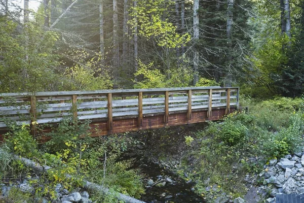 Une Petite Passerelle Traverse Ruisseau Dans Nord Idaho — Photo