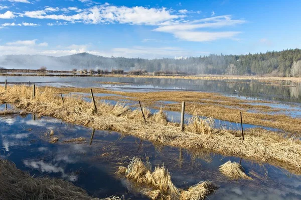 Überschwemmtes Grasland Der Nähe Des Hauser Lake Norden Idahos — Stockfoto