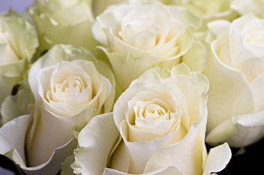 Güzel bir buket sarı gül..