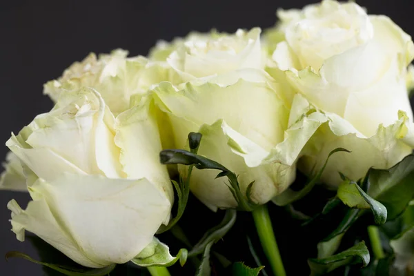 Side View Bouquet Yellow Roses Studio Setting — Photo