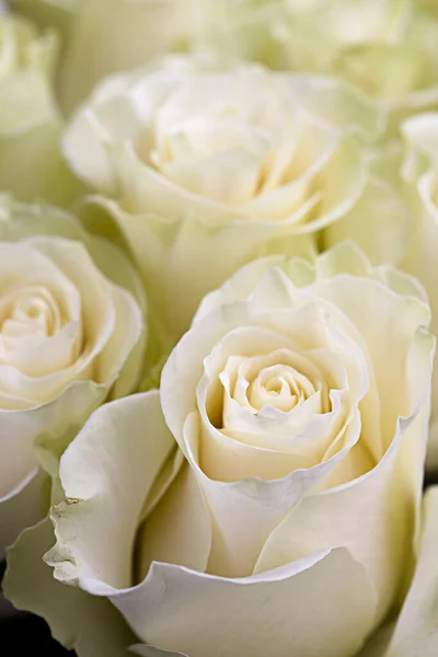 Gros Plan Beau Bouquet Roses Jaunes — Photo