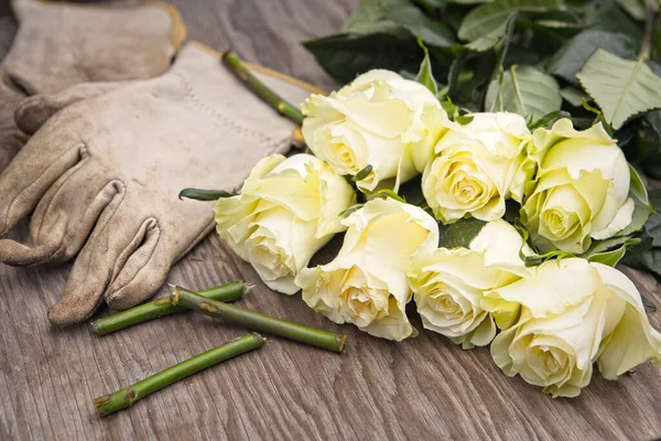 Photo Freshly Cut Roses Wooden Table Top Gloves Cut Stems — Stock fotografie