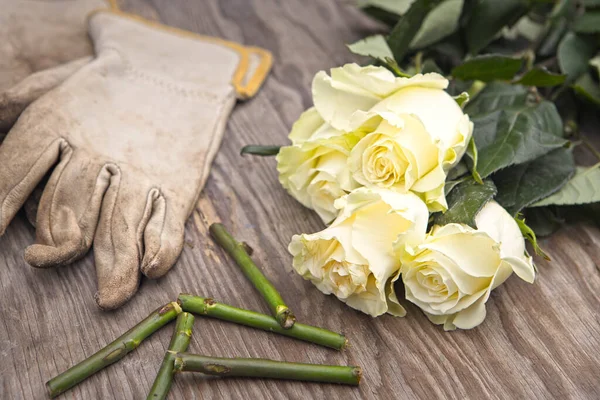 Μια Φωτογραφία Φρεσκοκομμένων Τριαντάφυλλων Ένα Ξύλινο Τραπέζι Δίπλα Γάντια Και — Φωτογραφία Αρχείου