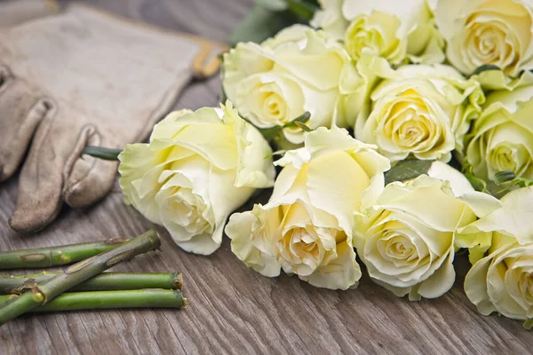 Photo Freshly Cut Roses Wooden Table Top Gloves Cut Stems — Foto Stock