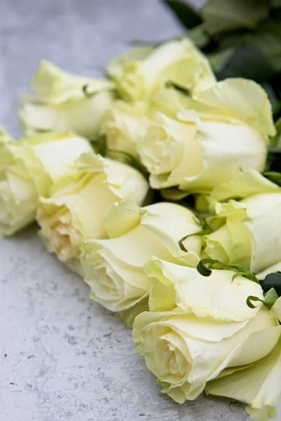 Studio Photo Roses Stacked Table —  Fotos de Stock