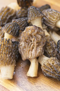 Yeni toplanmış ve temizlenmiş mantar yığınının yakın plan fotoğrafı..