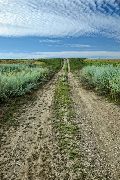 Small Dirt Road Leads Prairie Setting North Idaho — Fotografia de Stock