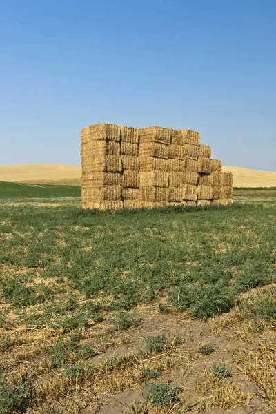 Large Hay Bales Put Large Hay Stack North East Washington — Stock Photo, Image