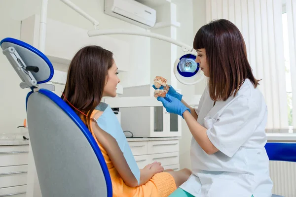 Mujer Joven Dentista Explica Paciente Modelo Maxilar Dental Posición Los — Foto de Stock