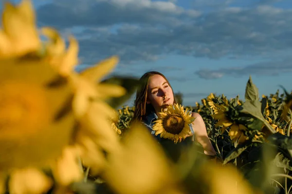 Jovem Meio Campo Girassóis Pôr Sol Com Luz Bonita Conceito — Fotografia de Stock