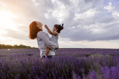 Genç, mutlu aile kavramı. Anne, gün batımında bir lavanta tarlasının ortasında kızını kucaklıyor ve elinde tutuyor. Onların hepsi beyaz giysiler giyiyor. Güzel lavanta çiçekleri