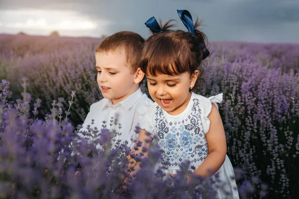 Двоє Щасливих Дітей Квітках Лаванди Брат Сестра Грають Центрі Поля — стокове фото