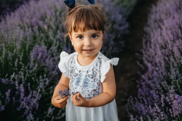 Маленька Щаслива Усміхнена Дівчинка Білій Сукні Грає Центрі Поля Лаванди — стокове фото